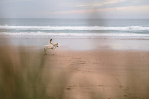 Photographer Agadir.