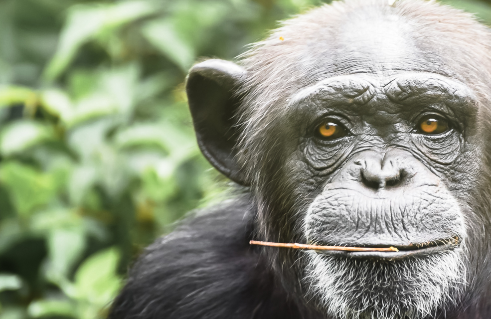 Sierra Leone Retreat Gallerie 0