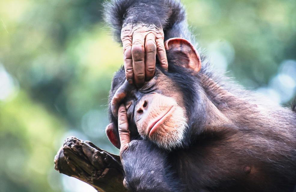 Sierra Leone Retreat Gallerie -1