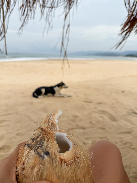 Sierra Leone Retreat Gallerie 16