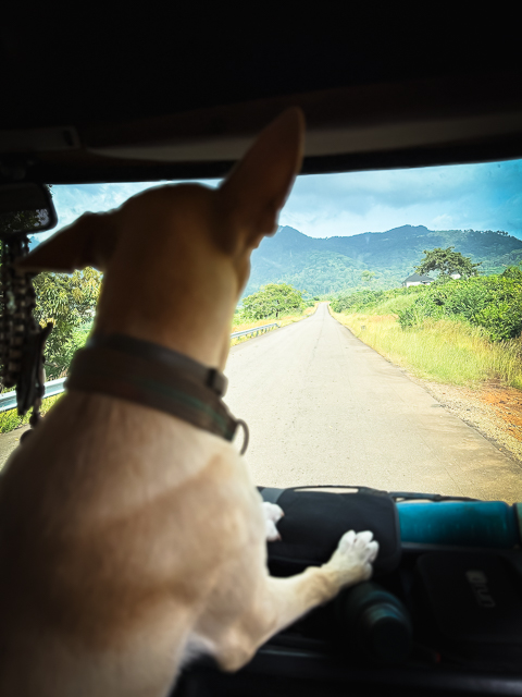 Sierra Leone Retreat Gallerie 28